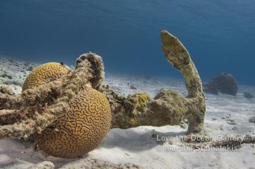 Bonaire Anchor